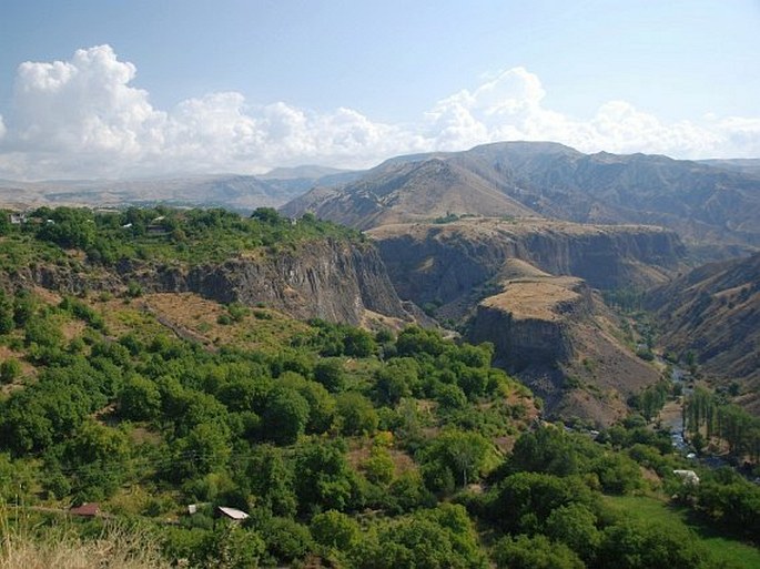 Holarctis – Íránsko-turanská oblast – Arménsko-íránská provincie