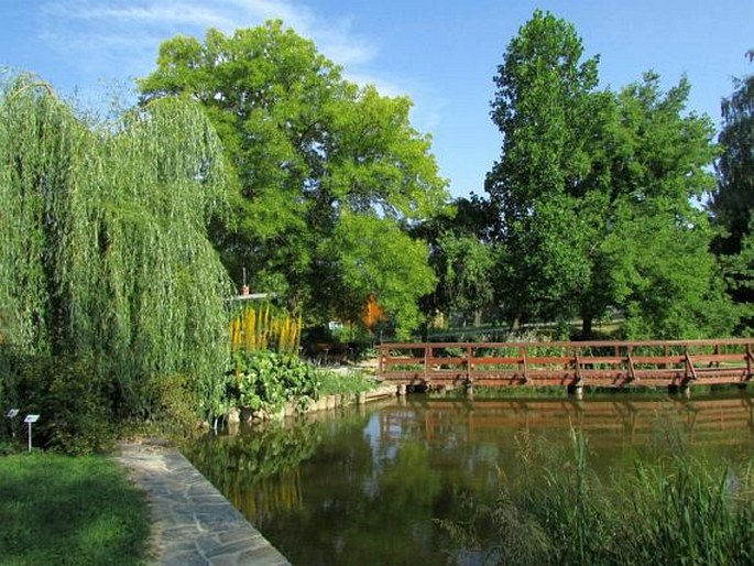 Naše zahrady a parky: Arboretum Bílá Lhota