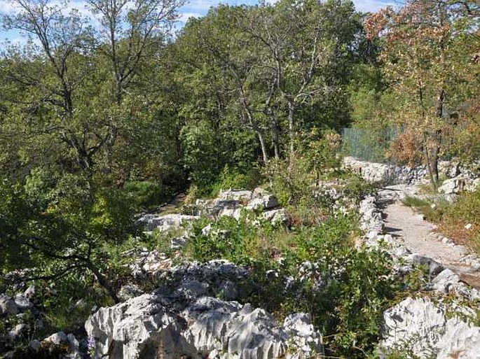 Giardino Botanico Carsiana