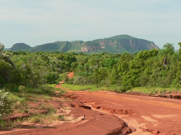 Neotropis – Brazilská oblast – Provincie Chaco