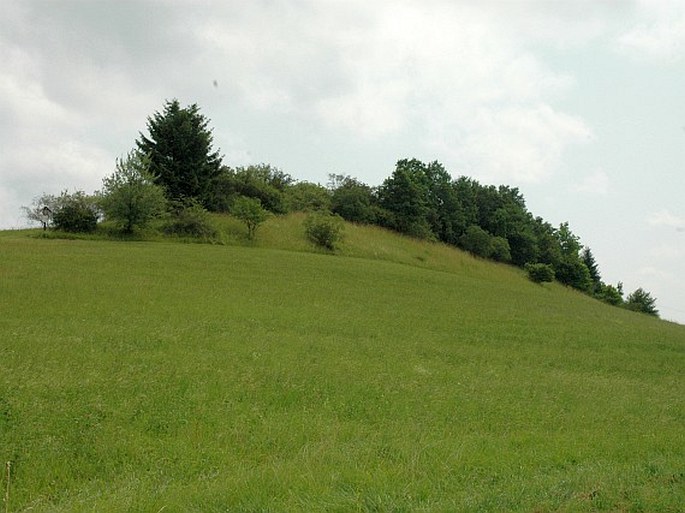 Železné hory, Chuchelská stráň – přírodní památka