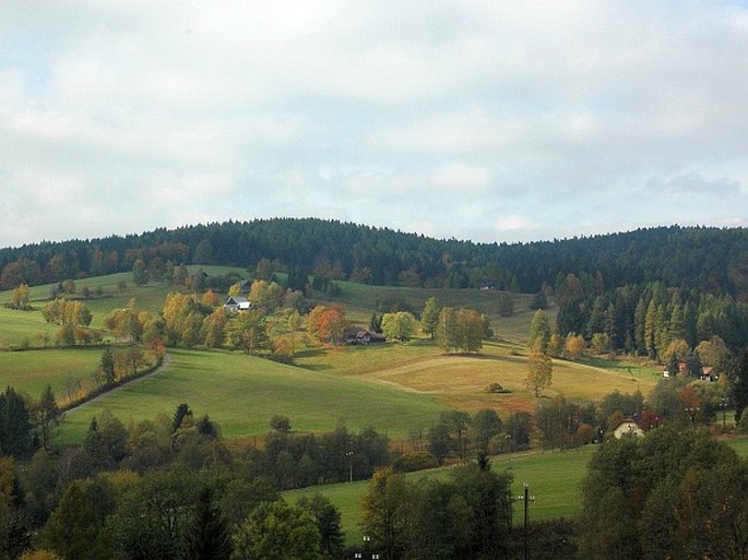 Žďárské vrchy, Damašek