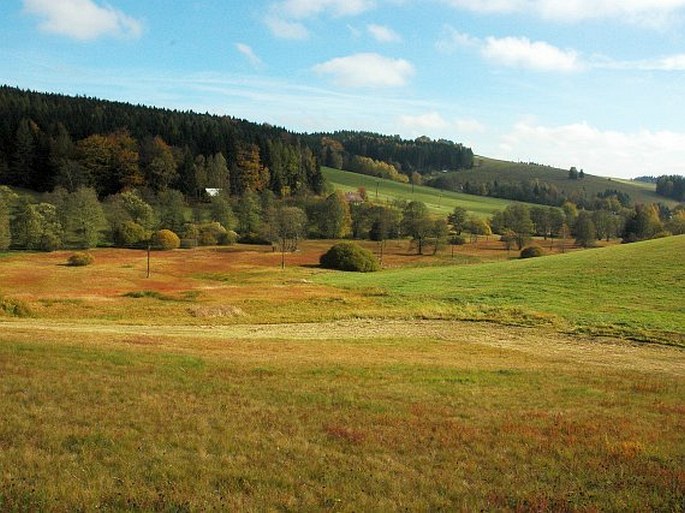 Žďárské vrchy, Damašek