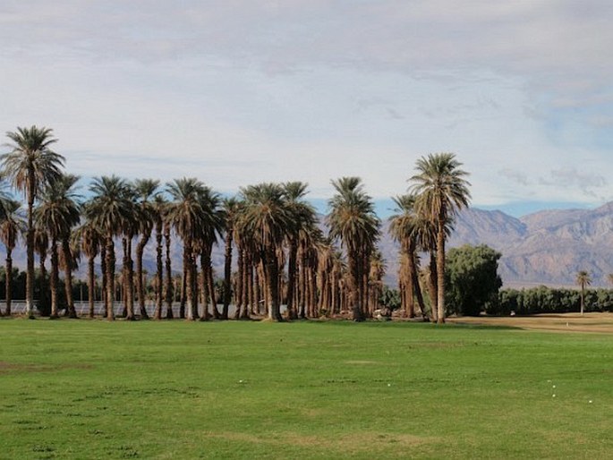 Death Valley National Park