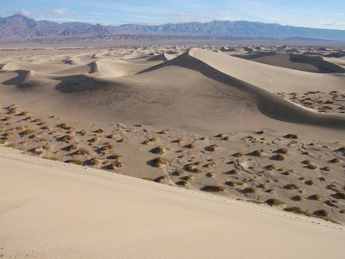 Death Valley National Park