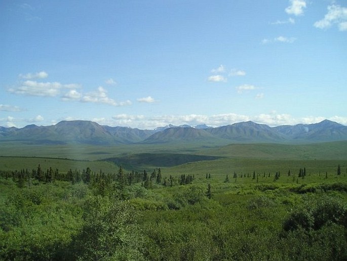 Denali National Park and Preserve