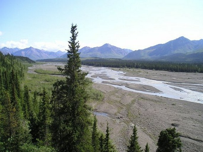 Denali National Park and Preserve