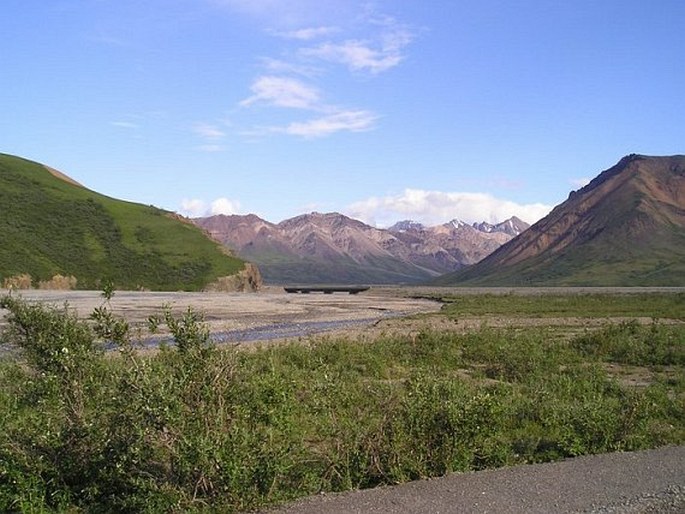 Denali National Park and Preserve