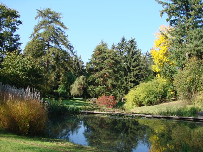 Naše zahrady a parky: Dendrologická zahrada Výzkumného ústavu Silva Taroucy pro krajinu a okrasné zahradnictví v Průhonicích