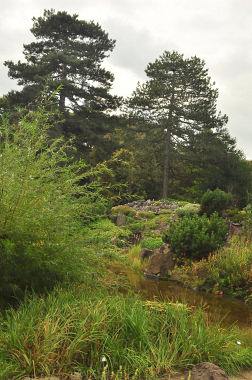 Der Botanische Garten der Technischen Universität Dresden