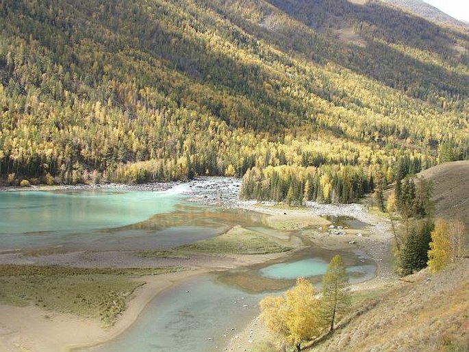 Džungarsko-ťan-šanská provincie