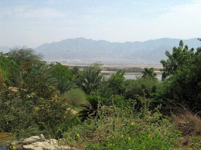 Botanical Garden of Eilat