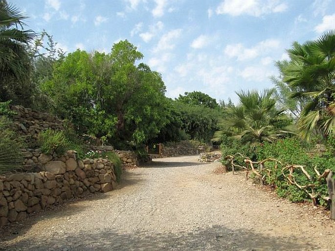 Botanical Garden of Eilat