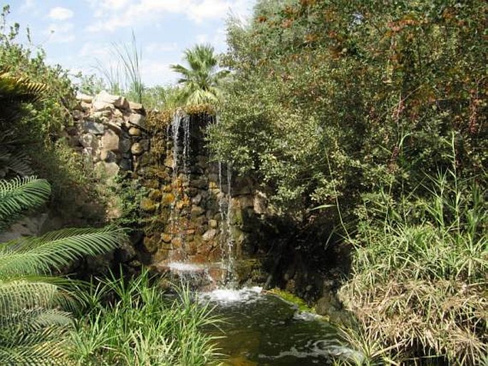 Botanical Garden of Eilat