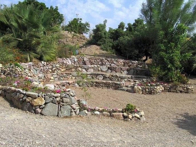 Botanical Garden of Eilat