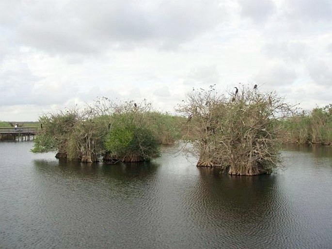 Everglades National Park