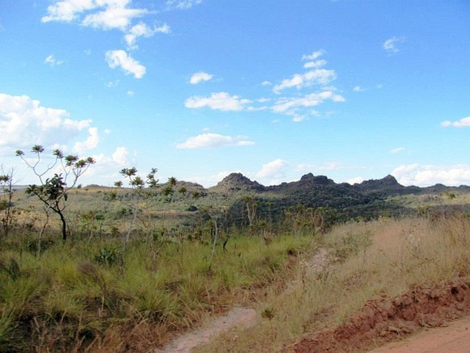 Provincie Brazilské vysočiny