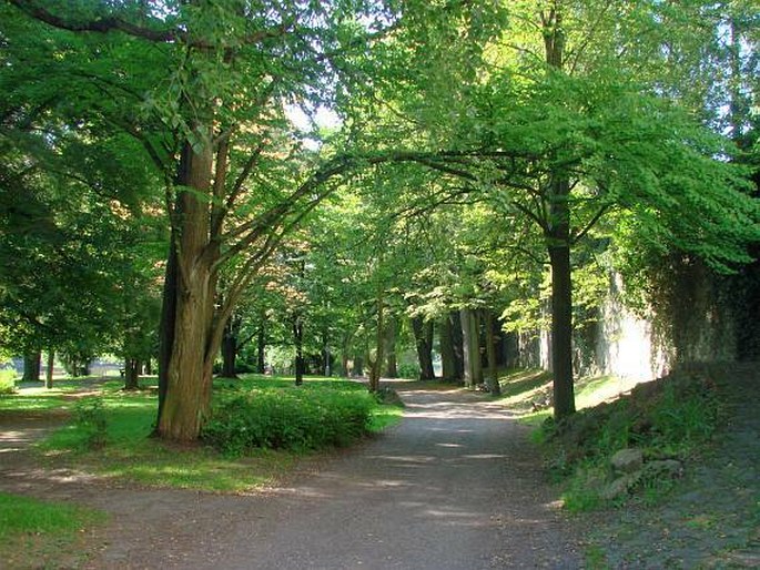 Havlíčkův Brod, městský park Budoucnost