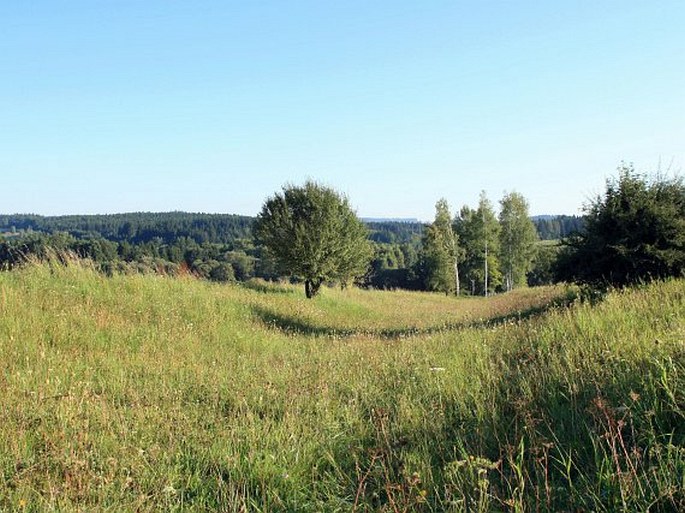 Táborsko-vlašimská pahorkatina, Hroby – přírodní památka