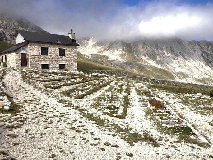 Giardino Botanico Alpino di Campo Imperatore