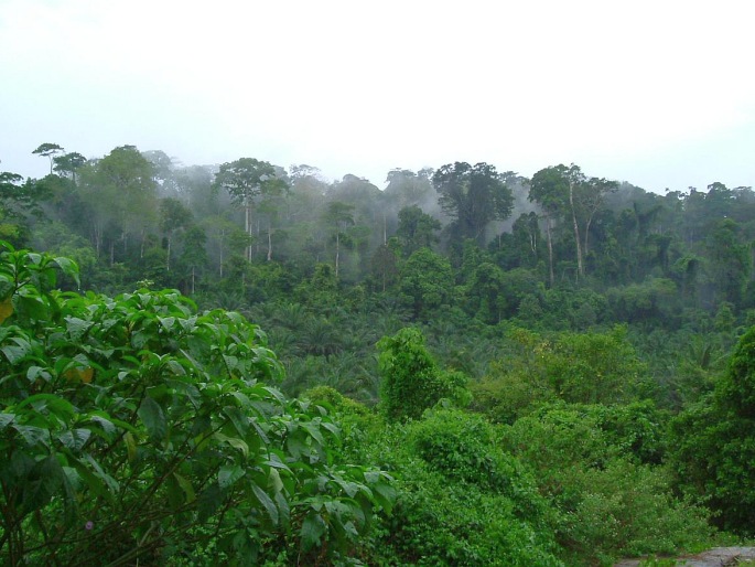 Ghana