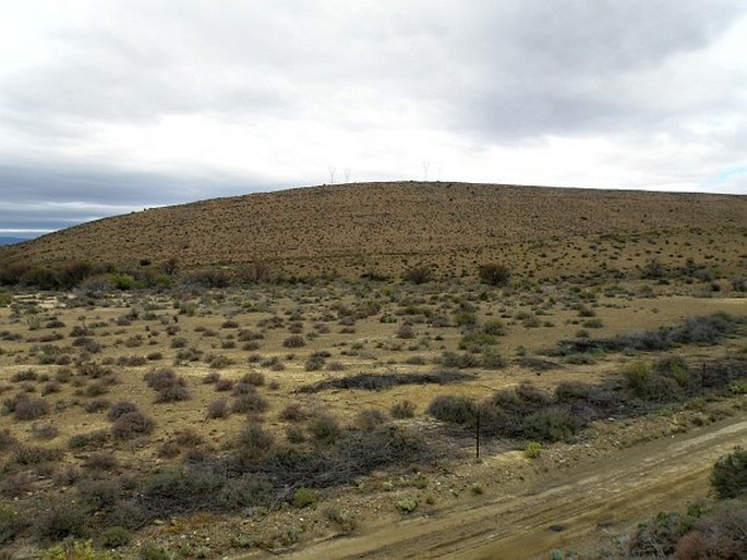 Provincie Karoo