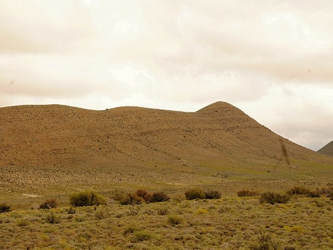 Provincie Karoo