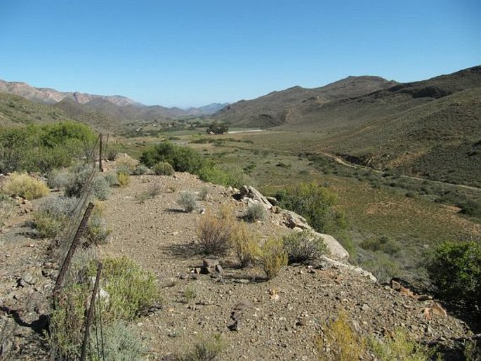 Provincie Karoo