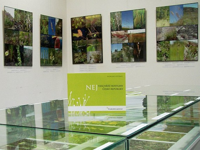 Pozvánka na výstavu fotografií Nejvzácnější rostliny České republiky