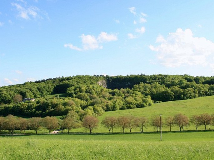 Český kras, Kobyla - přírodní rezervace