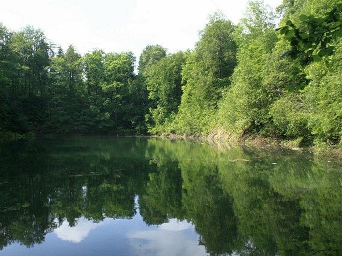 Książański park krajobrazowy