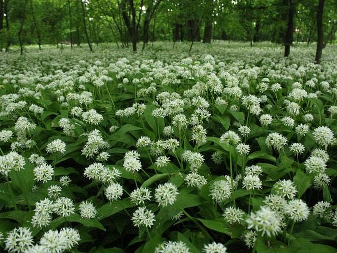 Książański park krajobrazowy