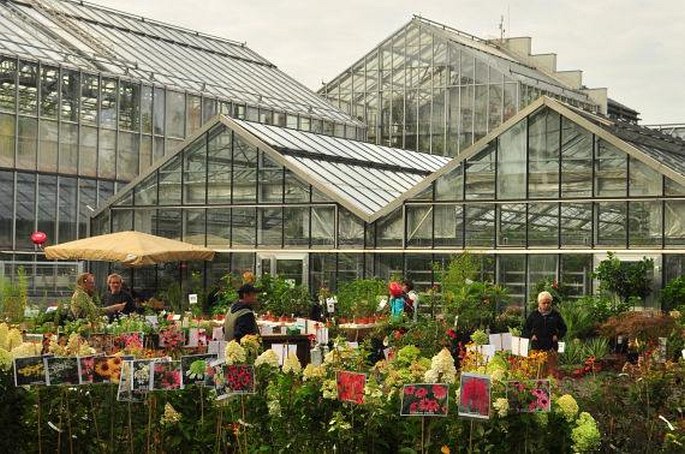 Zahrady Sveta Nemecko Lipsko Botanischer Garten Der Universitat