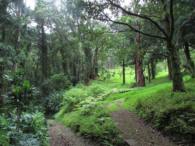 Lyon Arboretum and Botanical Garden