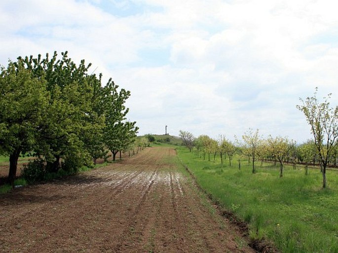 U Michálka - přírodní památka