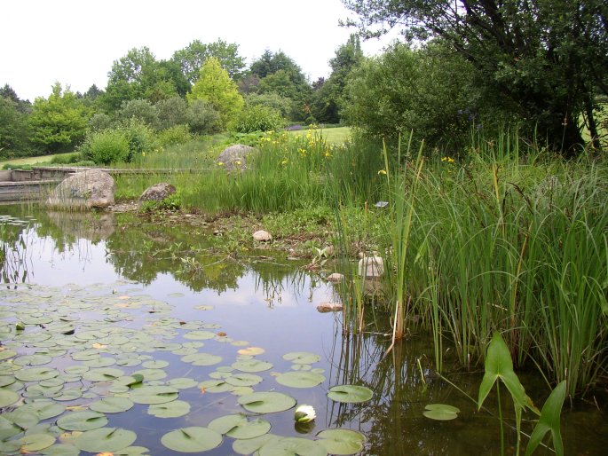 Botanická zahrada a arboretum Mendelovy univerzity v Brně