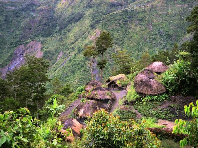 Papua