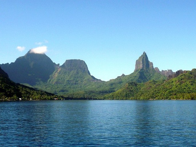 Paleotropis – Polynéská oblast – Polynéská provincie