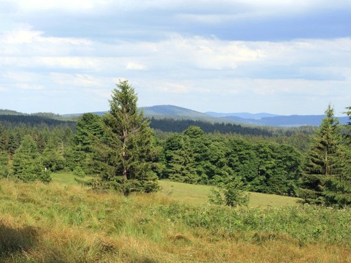 Šumavské pláně, Prameniště – přírodní rezervace