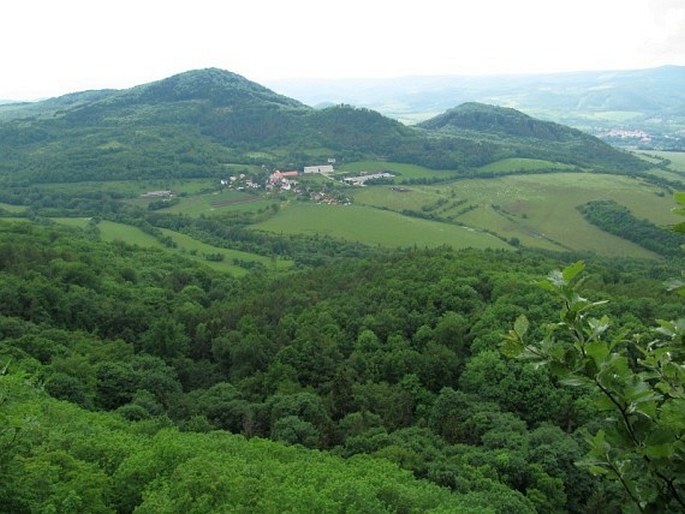 Rašovické skály