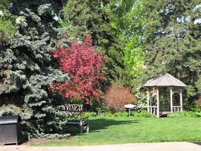 Reader Rock Garden