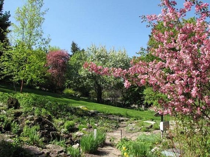 Reader Rock Garden