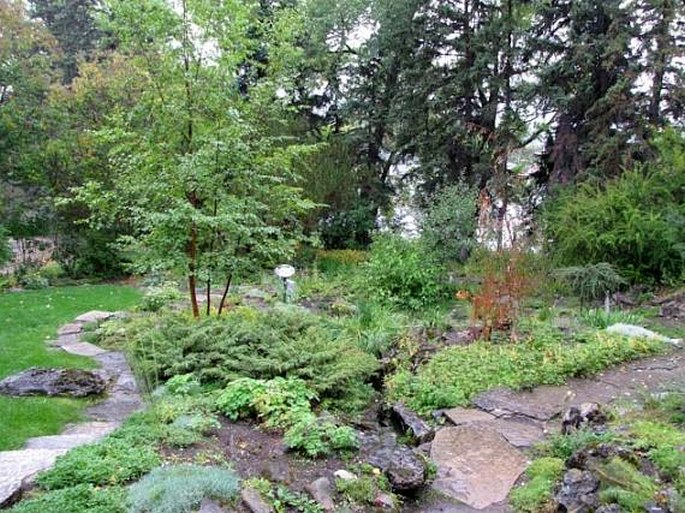 Reader Rock Garden