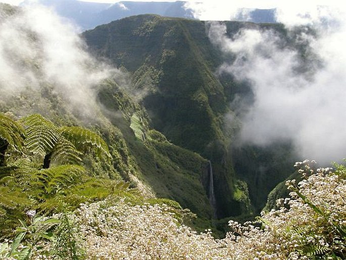 Réunion