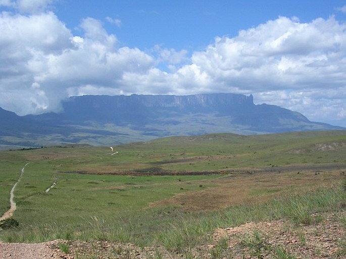 Roraima