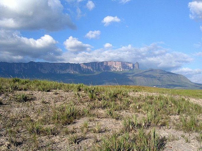 Venezuela, Roraima