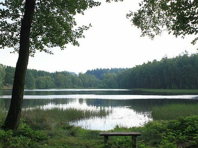 Nový rybník u Studánky