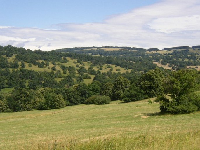 Floristické provincie světa