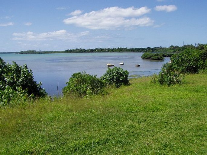 Fidžijská provincie