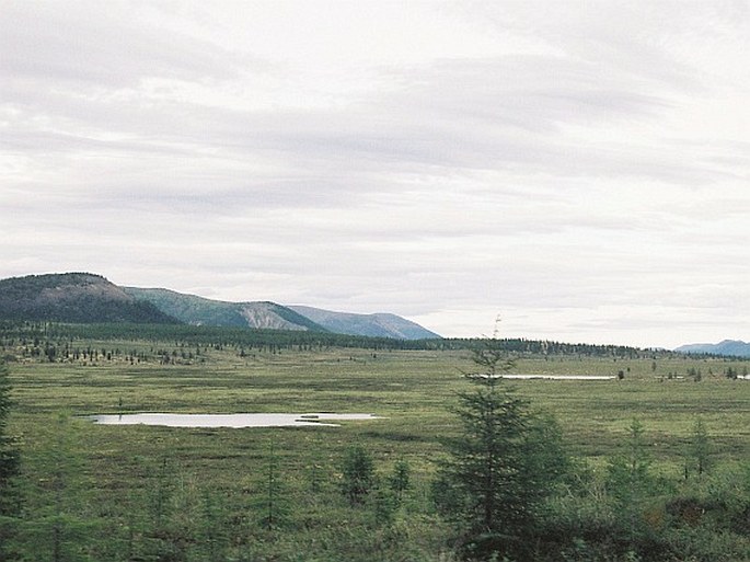 Severovýchodosibiřská provincie